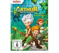 Arthur und die Minimoys (1) - Wie wird man ein Held? (DVD)