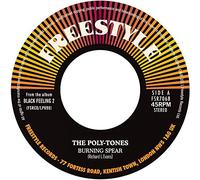 Various Artist (Poly-Tones/Mighty S - Black Feeling Two Sampler [Import]