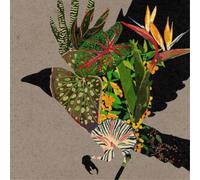 Various Artists @0: Curated and Mixed By Coldcut and Mixm (CD) (Importación USA)