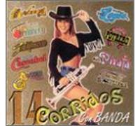 Various Artists - 14 Corridos Con Banda [Casete]