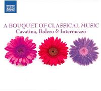 Various Artists - A bouquet of classical music (nxs)