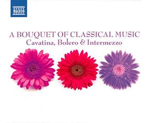 Various Artists - A bouquet of classical music (nxs)