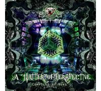 Various Artists - A Matter Of Perspective - Compiled by Nuks