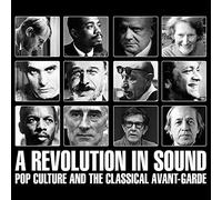 Various Artists - A Revolution In Sound. Pop Culture And The Classical Avante-Garde