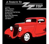 Varios artistas – A Tribute to ZZ Top – Vinilo – Importación USA