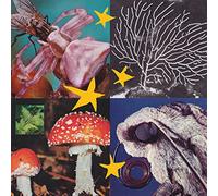 Various Artists – All Things Considered Vol.2 – Vinilo – Importación USA