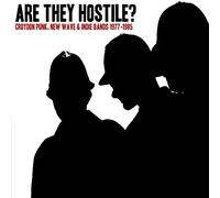 Various Artists - Are They Hostile? Croydon Punk, New Wave & Indie Bands 1977-1985