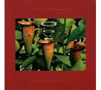 Various Artists - Artificial Intelligence.II