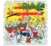 Varios artistas – Back from the Grave Vol.5 – Vinilo