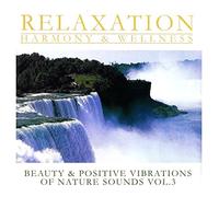 Various Artists - Beauty & Positive...3
