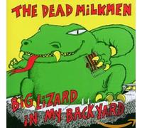 Various Artists - Big Lizard In My Back Yard