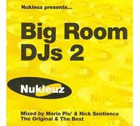 Various Artists - Big Room Dj's Vol.2