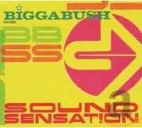Various Artists - Biggabush - Sound..