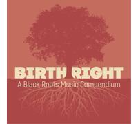 Various Artists Birthright: A Black Roots Music Compendiu (CD) (Importación USA)