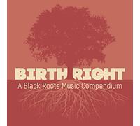 Various Artists - Birthright: A Black Roots Music Compendium