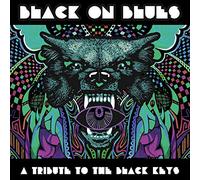 Various Artists Black On Blues: A Tribute to the Black (Vinyl) (Importación USA)