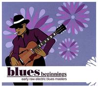 Various Artists - Blues Beginnings-Digi/17t