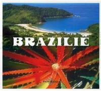 Various Artists - Brazilie