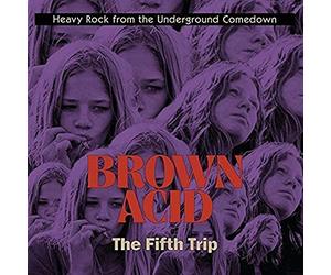 Various Artists - Brown Acid - The Fifth Trip