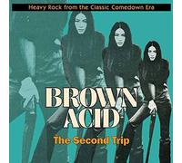 Various Artists Brown Acid: The Second Trip (Vinyl) 12" Album (Importación USA)
