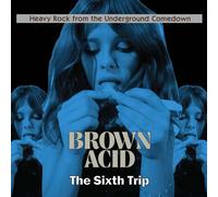 Various Artists Brown Acid: The Sixth Trip (Vinyl) 12" Album (Importación USA)