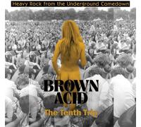 Various Artists Brown Acid: The Tenth Trip (Vinyl) 12" Album (Importación USA)