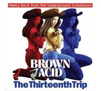 Various Artists - Brown Acid: The Thirteenth Trip