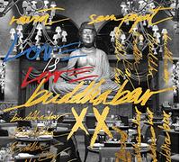 VARIOUS ARTISTS - Buddha Bar Xx