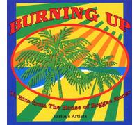 Various Artists - Burning Up