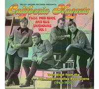 Various Artists - California Nuggets: Fuzz Mod Rock & R & B Unknowns