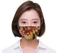 Various Artists - Carnaval 2011 Sambas de Enredo / Various