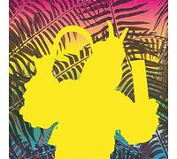 Various Artists - Chico Tropico - Relacion De Ri