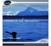 Various Artists - Chorus of Whales