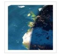 Various Artists - COMMUNITY EP: A New Order Online Tribute (US Import)