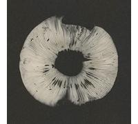 Various Artists - Cycles Ii - Cyclic Law's 20th Anniversary Label Sampler