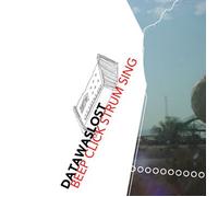 Various Artists - Datawaslost : Beep Click Strum Sing