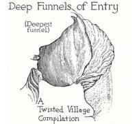 Various Artists Deep Funnels of Entry (CD) Album (Importación USA)