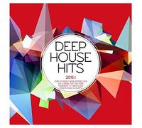 Various Artists - Deep House Hits 2015.1