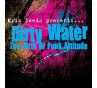 Various Artists - Dirty Water: the Birth..