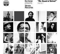 Various artists - Dj amir presents: strata records - the sound of detroit volume 1 [Vinilo]