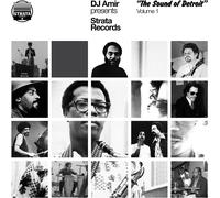 Various Artists DJ Amir Presents Strata Records: "The (Vinyl) (Importación USA)