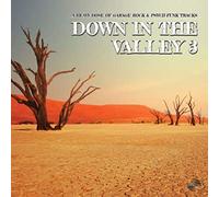 Various Artists - Down in the Valley 3 [Vinilo]