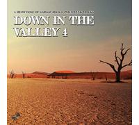 Various Artists - Down in the Valley 4