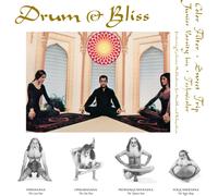 Various Artists Drum & Bliss (Vinyl) (Importación USA)