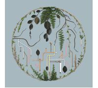 Various Artists El Búho Tributaries Vol. 2 (Vinyl) 12" Album (Importación USA)