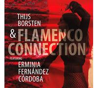 Various Artists - Flamenco Connection