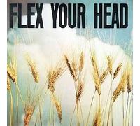 Various Artists - Flex Your Head