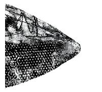 Various Artists - For Christian H