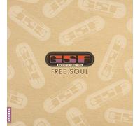 VV.AA. - GSF FREE SOUL -LP [Vinilo]