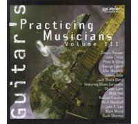 Various Artists - Guitar's Practicing Musicians 3